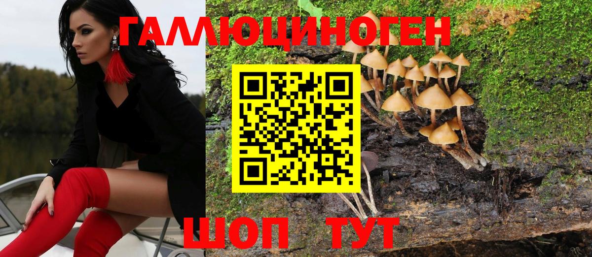 Псилоцибиновые грибы Psilocybine cubensis  Вход с VPN  Мытищи 